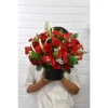 Hồng Đỏ Cẩm Chướng