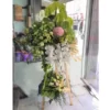 Vươn lên tầm cao