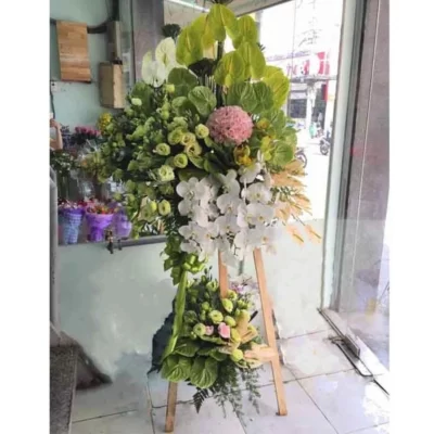 Vươn lên tầm cao