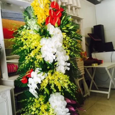 Tầm Cao Mới