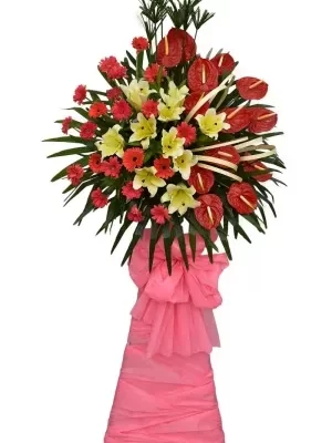 Lẵng Hoa Đồng Tiền Hồng Môn Đỏ mừng khai trương cửa hàng hồng phát đẹp nhất