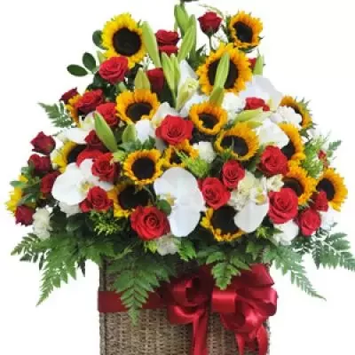 Hoa Chúc mừg sang trọng