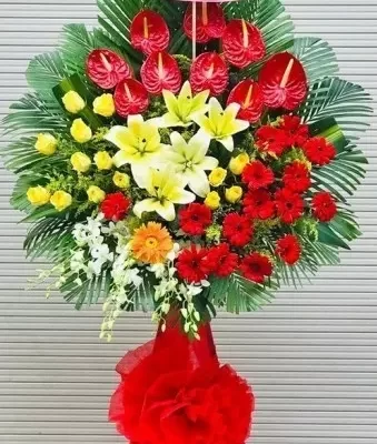 Hoa Chúc Mừng Khai Trương