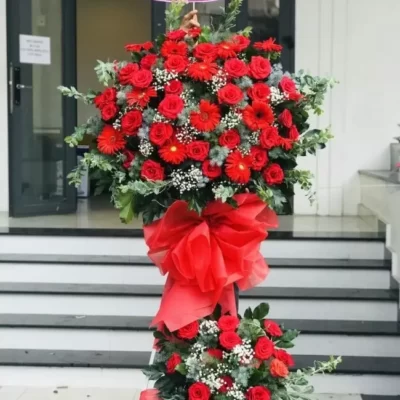 HOa KHai Trương Đẹp