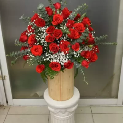 Đua Nhau Khoe Sắc