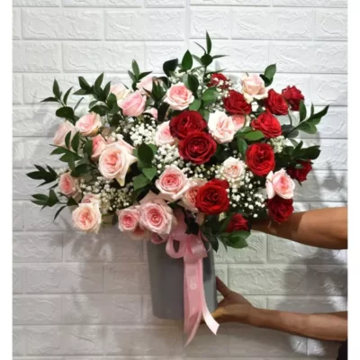 Pink Red Ohara