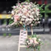 Hoa Khai Trương Vững tiến