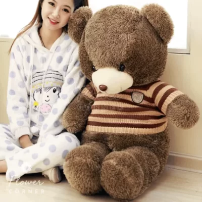 Chú Gấu Đáng Yêu