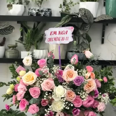 Hoa Chúc Mừng Thầy Cô