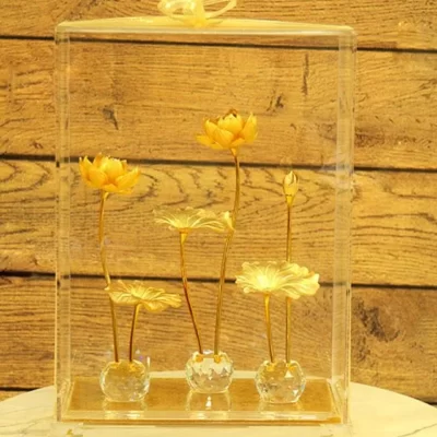Chậu cây hoa sen dát vàng 24k
