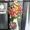 Kệ Hoa Khai Trương Đâm Chồi Nảy Lộc