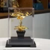 Chậu cây hoa lan mạ vàng