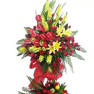 Hoa chúc mừng 17