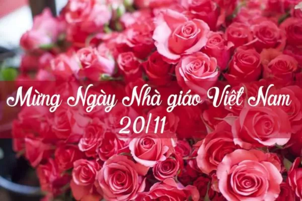 Ý nghĩa hoa hồng ngày 20 11 thích hợp dành tặng thầy cô nhân ngày Nhà giáo (Ảnh: Sưu tầm)