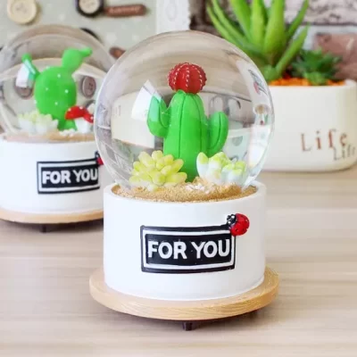 Quả cầu tuyết hoa sương rồng